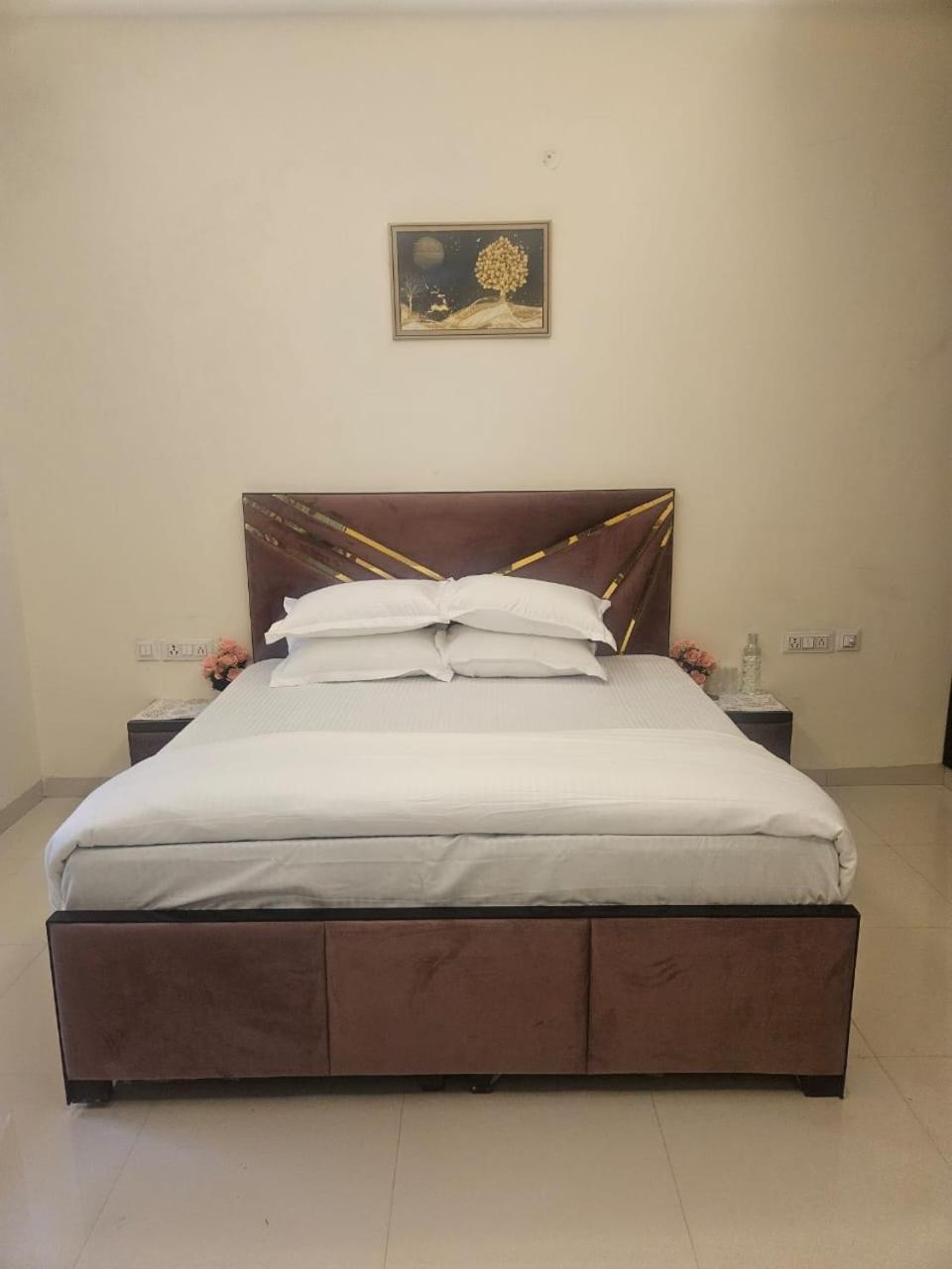 Bed and Breakfast Ashirwaad 249 Велика Нойда Екстер'єр фото